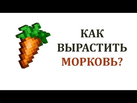 Секретные команды для получения морковки