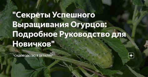 Секреты успешного расплавления