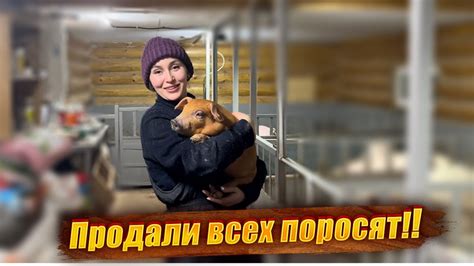 Советы по уходу за полированными блоками