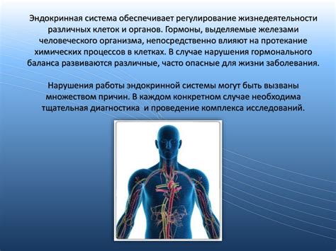 Современные методы исследования гипоэктаза легкого