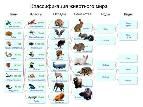 Список кодов на различных животных