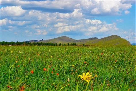 Степные просторы: сиды с озерами в биоме степь