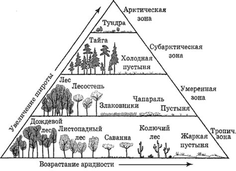 Типы биомов и их характеристики