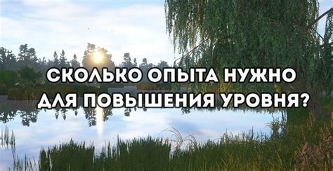 Узнай, сколько опыта нужно для достижения желаемого уровня в игре