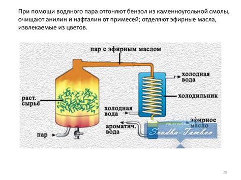 Фазовые составы и равновесия