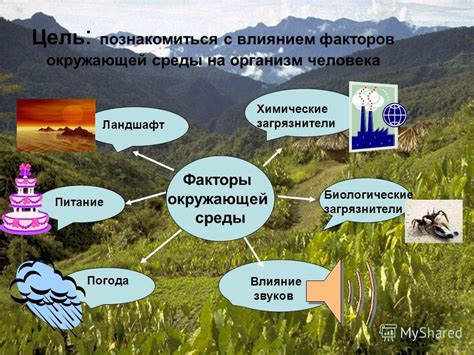 Факторы окружающей среды, способствующие образованию трещин