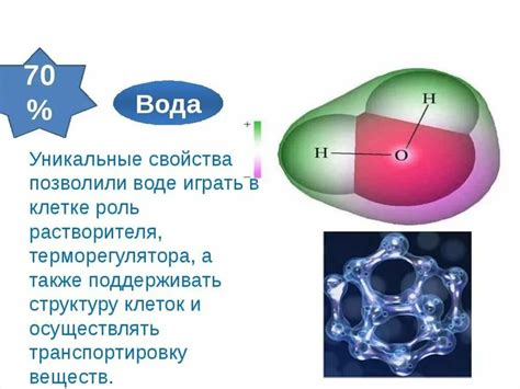 Химический состав и структура