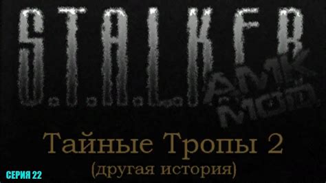 Читы Сталкер: Тайные тропы 2 - полный список кодов   Секреты и хитрости игры