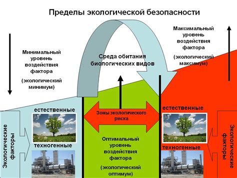 Экономическая эффективность и экологическая безопасность