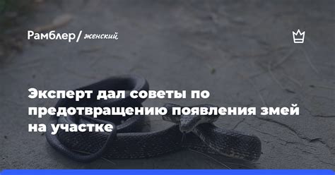 Экспертные советы по предотвращению