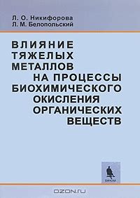  Влияние окисления металлов на художественное выражение 