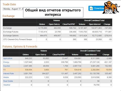  Использование отчетов 