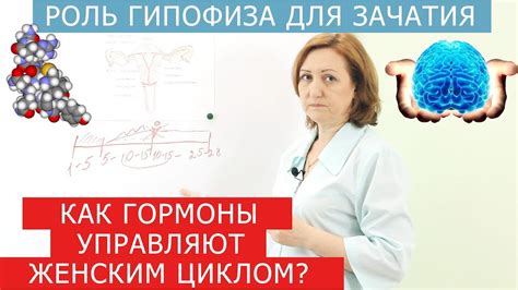  Как влияют выбранные пути и события на появление Крейтона 