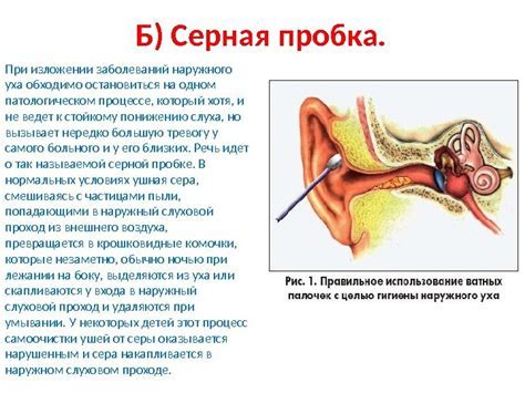  Понимание типов катаканов 