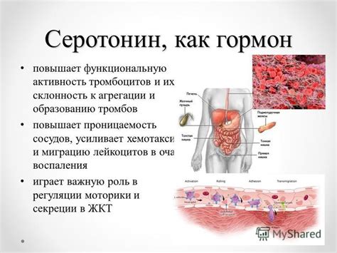  H3PO4 и его роль в промышленности 